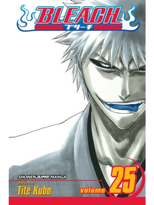 cover image of Bleach, Volume 25